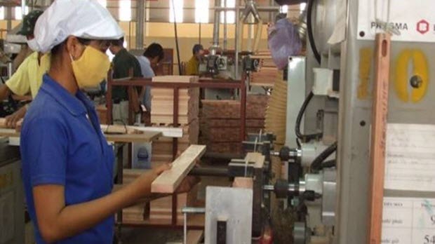 Gỗ Việt sẽ gặp rắc rối với TPP